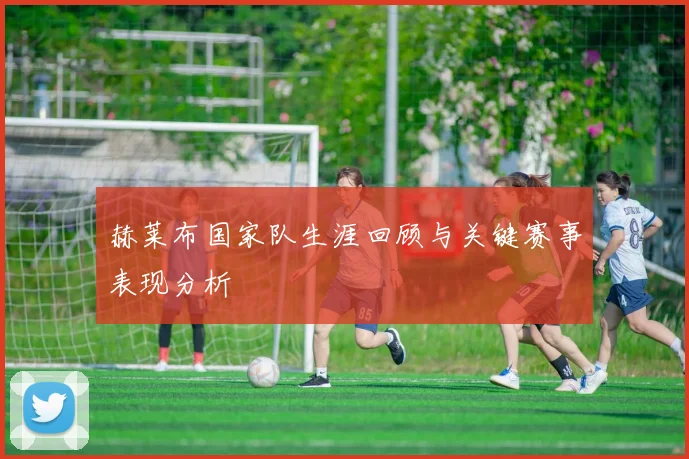 赫莱布国家队生涯回顾与关键赛事表现分析