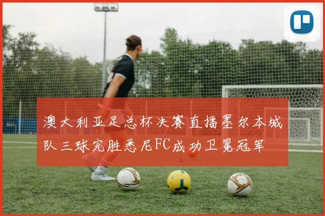 澳大利亚足总杯决赛直播墨尔本城队三球完胜悉尼FC成功卫冕冠军