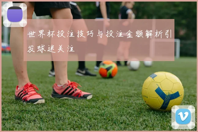 世界杯投注技巧与投注金额解析引发球迷关注