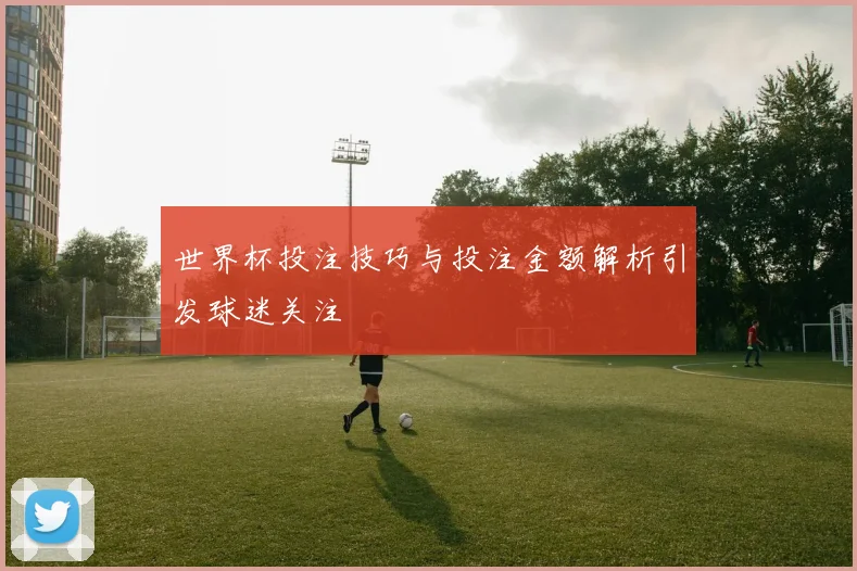 世界杯投注技巧与投注金额解析引发球迷关注
